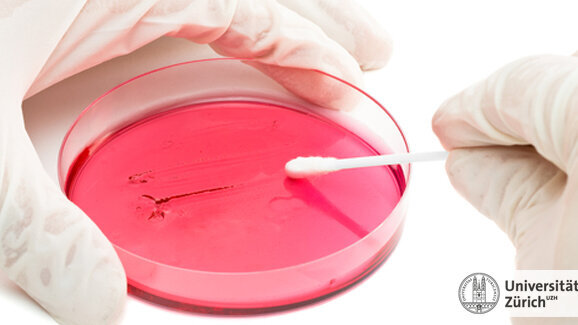 Versteckte Bakterien aufspüren