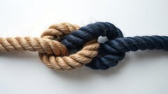 KNMT voorzichtig positief over Coalitie-akkoord