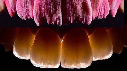 Zubotechnická ikona se představí v Česku