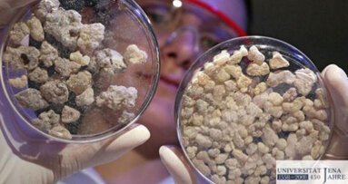 Weihrauch als Entzündungshemmer?