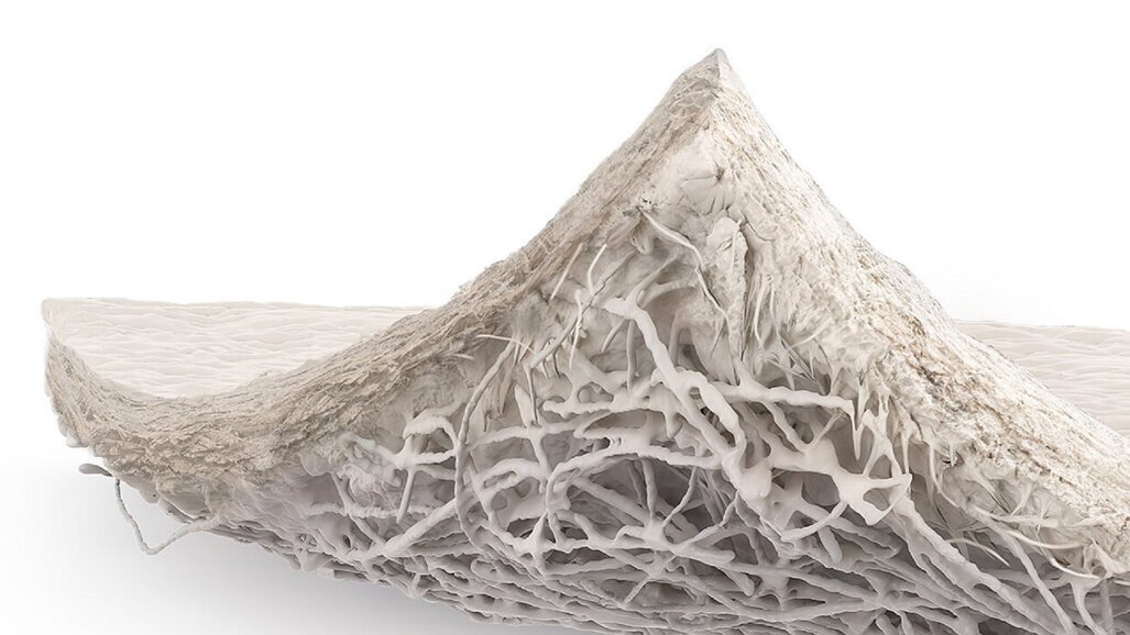 BioHorizons Camlog launches Striate+ collagen membrane