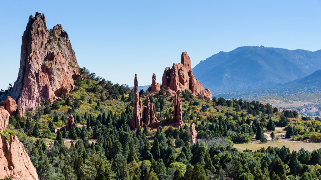 ADSA Annual Meeting 2020