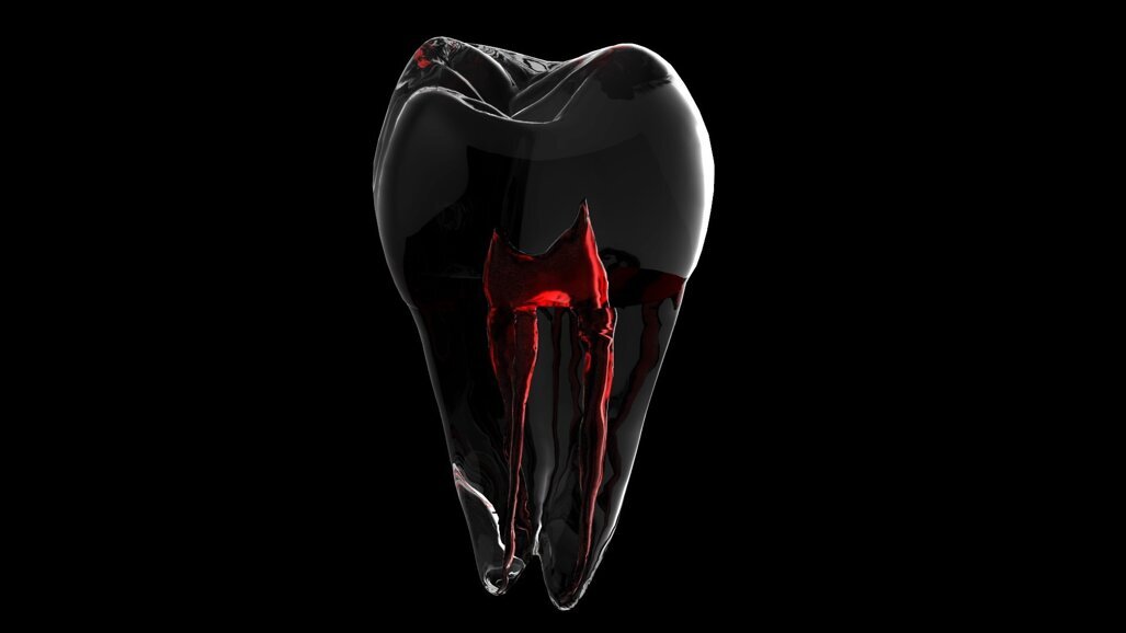 Sesja „Endodoncja” na targach Krakdent 2023