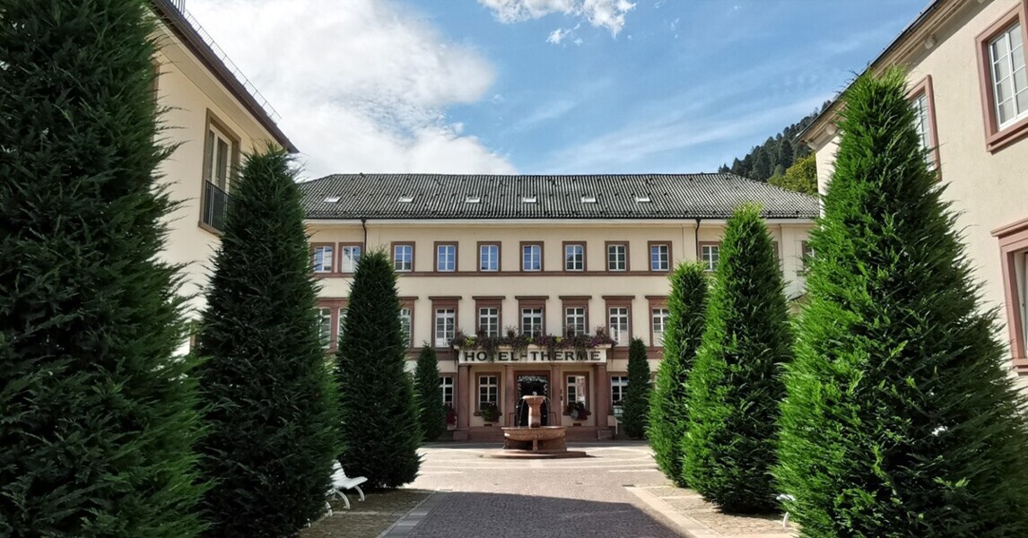 The participants stayed in Bad Teinach in the Black Forest.