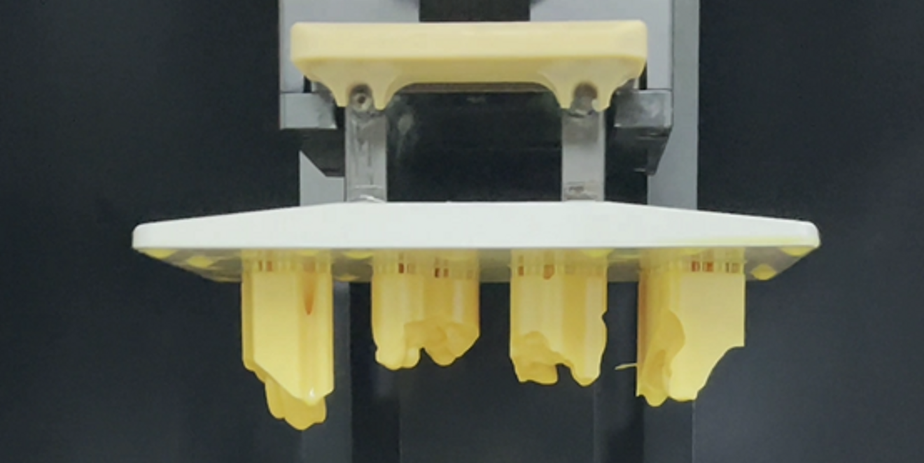 Fig. 9: 3D-printed models.