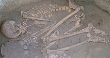 Tooth plaque provides insights into diet of prehistoric ancestors