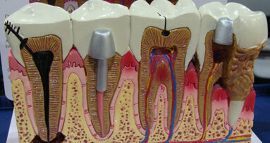 Meeting Review: 2016 Thomas P. Hinman Dental Meeting