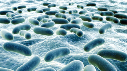 Artrite reumatoide e patologia parodontale: una via in comune?