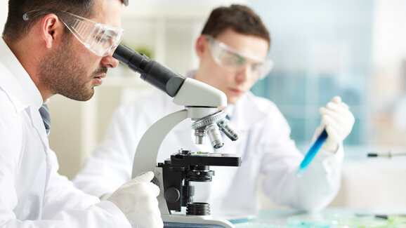 Wissenschaftler erforschen Züchtung künstlicher Zähne