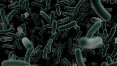 Trovati batteri sul 70% dei supporti per bavagli dentali