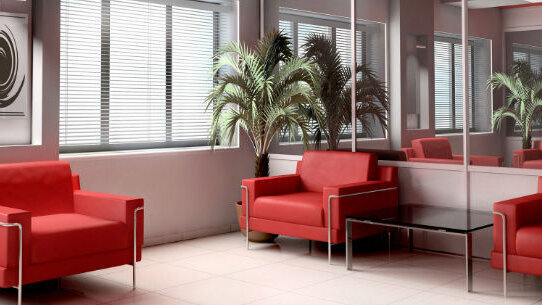 Prima visita: piano di cura, piano di lavoro e preventivo di spesa