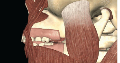 Onemocnění čelistního kloubu a ortodoncie