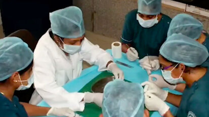 Extraen 526 dientes de la boca de un niño