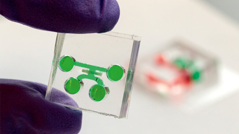 Individualisiertere Zahnheilkunde mit „Tooth-on-a-Chip“