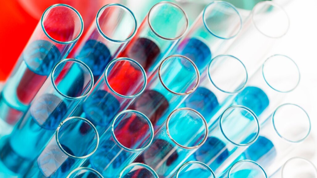 Badaczki UJ opracowały nowy sposób pozyskiwania komórek tkanki kostnej do bezpiecznych przeszczepów