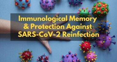 Humans develop robust immune response & memory that may provide lasting protection against Covid-19