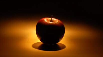 State and local dental societies are honored for outstanding programs State and local dental societies are honored for outstanding programs