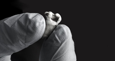 Laboratorio degli Stati Uniti sequenzia il DNA da un dente di John Lennon