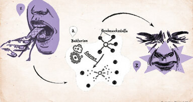 Diagnose von Periimplantitis bald mit Kaugummis?