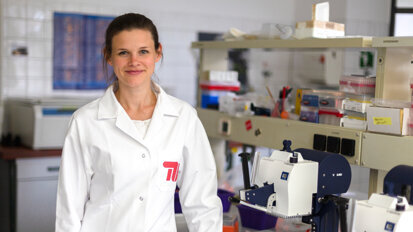 Nachwachsende dritte Zähne könnten bald Realität werden Nachwachsende dritte Zähne könnten bald Realität werden