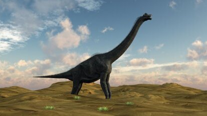 Il est possible de mesurer la température des dinosaures grâce à leurs dents