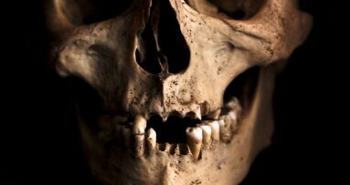 Będzie lek na odrastanie utraconych zębów?