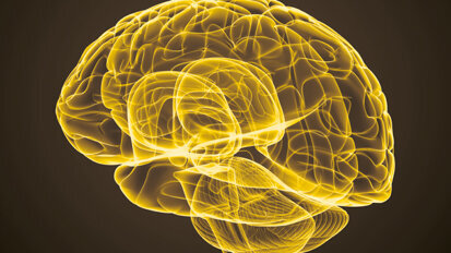 Una formazione alimentare mirata per rendere servizio ai pazienti e all’odontoiatria