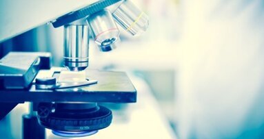 Pesquisadores investigam bactéria oral como possível causa de endocardite infecciosa