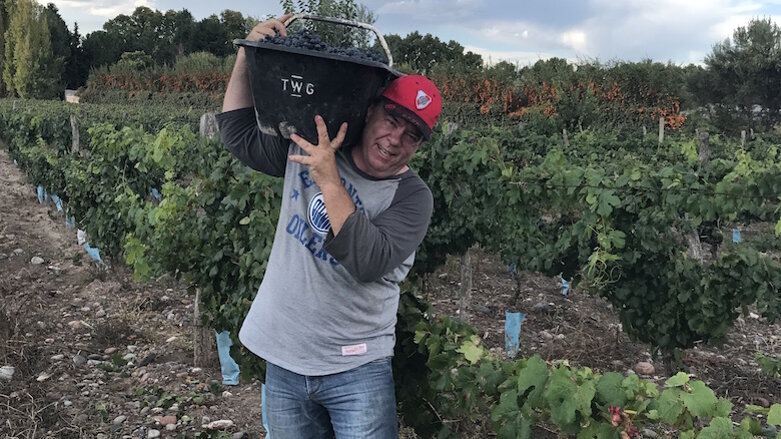 Not so frequently asked questions with Steve Jones