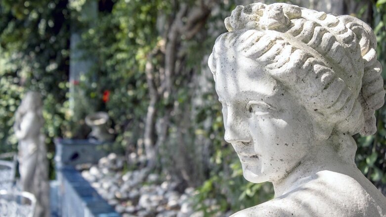 Doctor: ¿es solo por estética o por función?