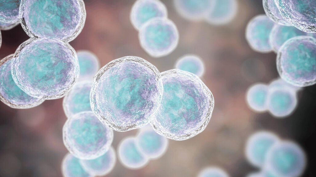 Review bewijst verband orale microbioom en kanker