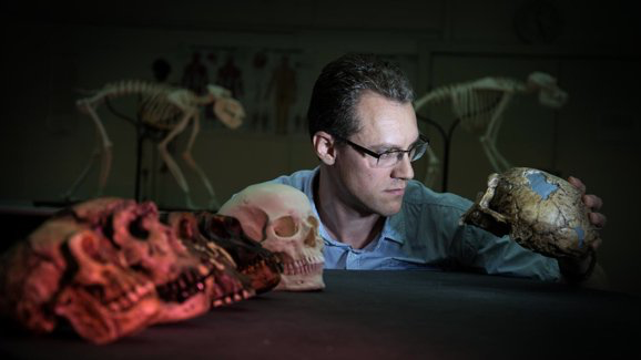 Los dientes pueden predecir la evolución