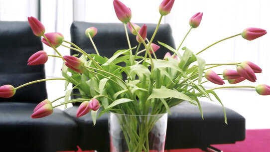 Immagini, suoni e profumi per comunicare efficacemente col paziente attraverso l’ambiente