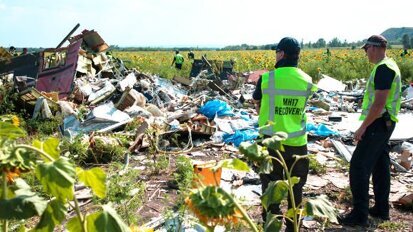 马方为马航失事客机的调查工作提供牙齿记录