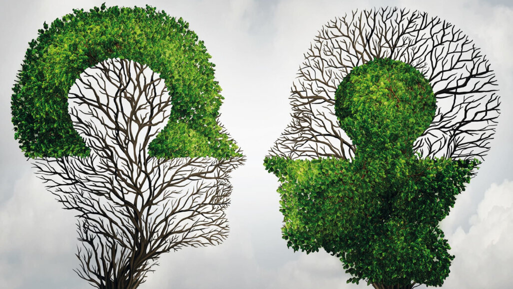 If I could see through your eyes, I wonder what I would see?