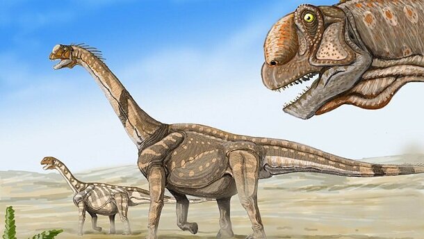 Tanden geven uitsluitsel lichaamstemperatuur dinosaurus