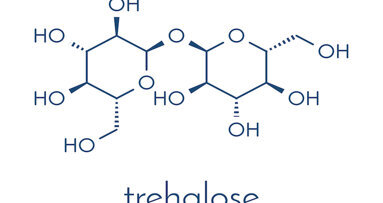 Study shows trehalose responsible for C. difficile outbreaks