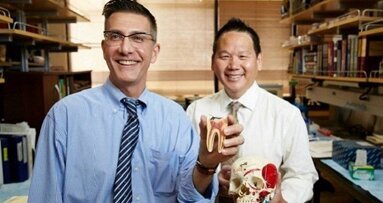 Cellule staminali estratte con successo dai terzi molari