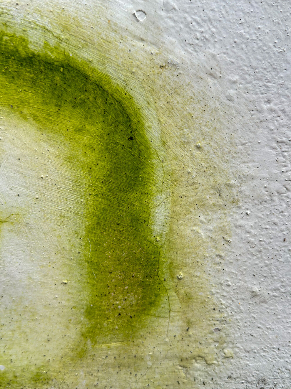 Understandings of oral biofilms within modern dentistry first emerged within microbiological studies exploring biofilm growth upon industrial surfaces. (Image: Wanda/Adobe Stock)