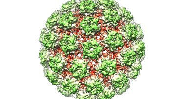 Steeds vaker keelkanker door orale seks