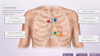 Building a solid foundation