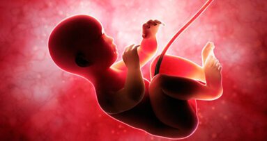 La ricerca scopre lo sviluppo veloce dello smalto dentale negli esseri umani