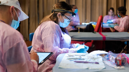 Low-cost tooth sensitivity liquid found to combat dental caries