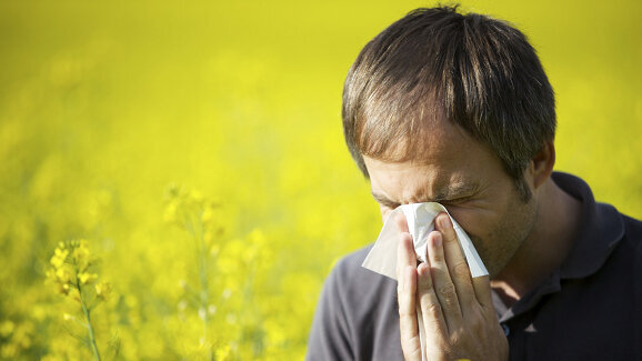 Allergien als Schutzfunktion