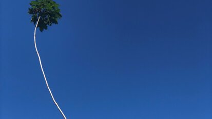 Column Reinier van de Vrie: Uitzwaaien