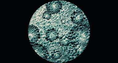 I have a dream: il cavo orale finestra della salute