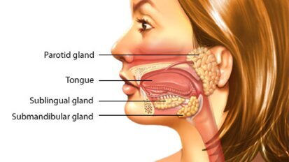 Pljuvačka kao pomoć u zarastanju rana