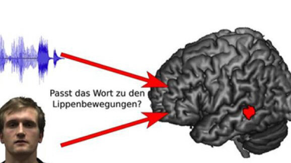 Lippenlesen: Wie wir mit den Augen hören
