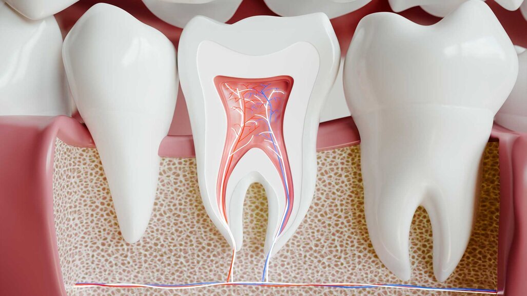 Update der S2k-Leitlinie zur Wurzelspitzenresektion
