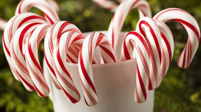 יתכן ותעשיית סוכר בארה